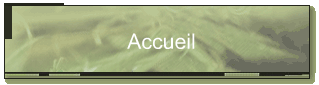 Accueil